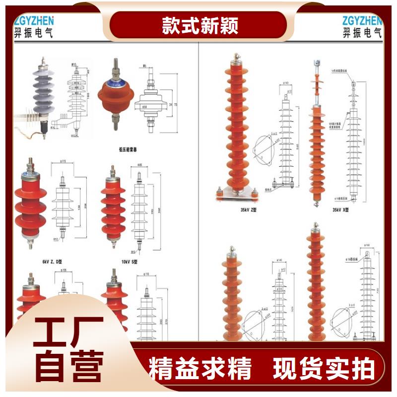 氧化锌避雷器Y5WS-17/50FT源头厂家