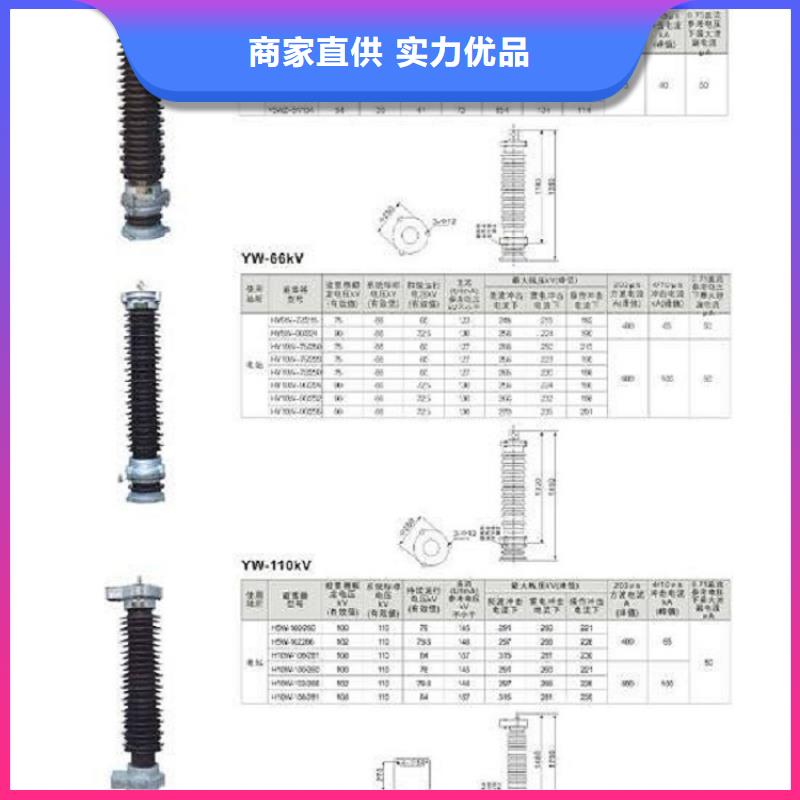 氧化锌避雷器Y10W5-108/281在线咨询