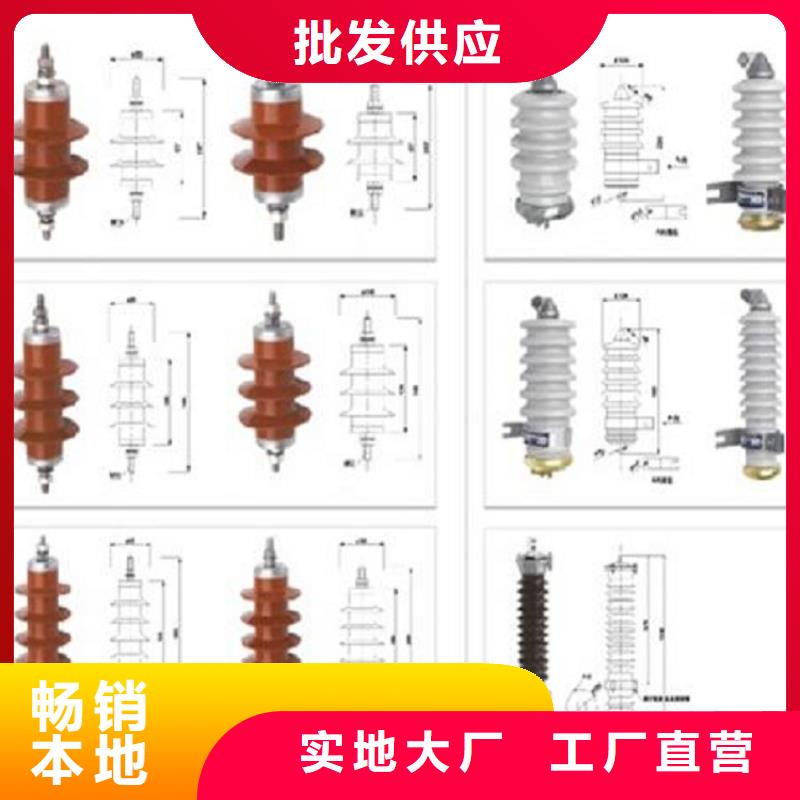 避雷器Y10W1-200/520.