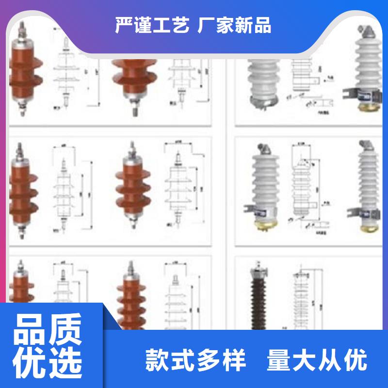 Y10W-96/250-浙江羿振电气有限公司