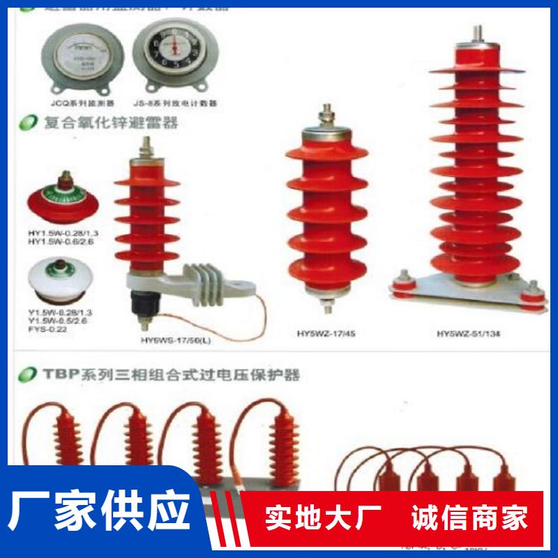 氧化锌避雷器Y10W5-116/302W