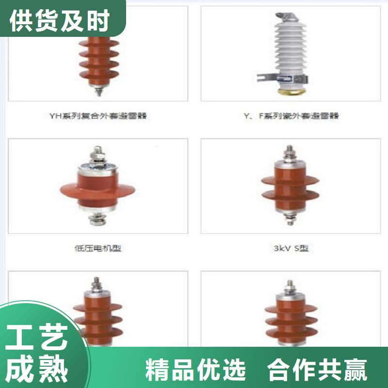 _避雷器YH10W5-94/228【羿振电力设备】