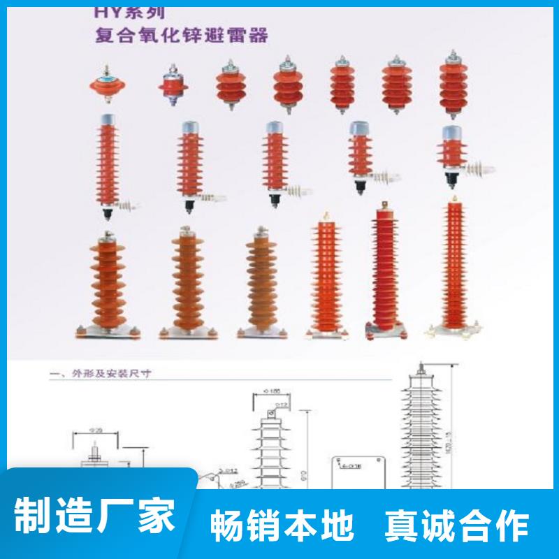 复合外套金属氧化物避雷器0.5KAWZ2-35KV含计数器