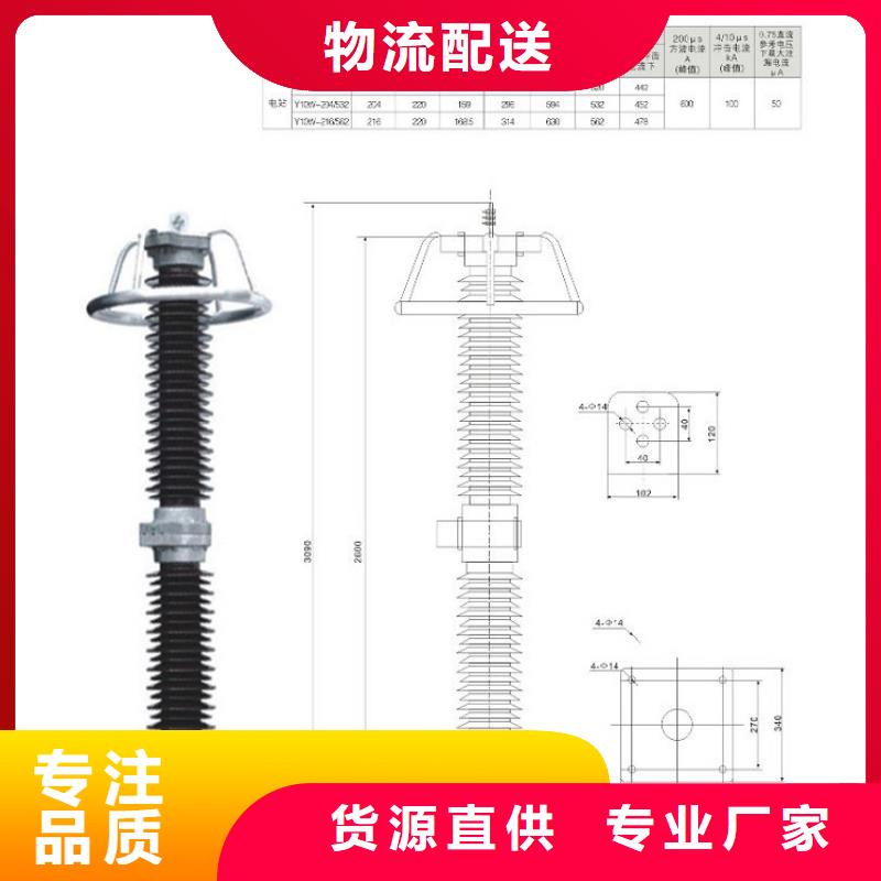 避雷器Y10W1-108/281W【羿振电气】