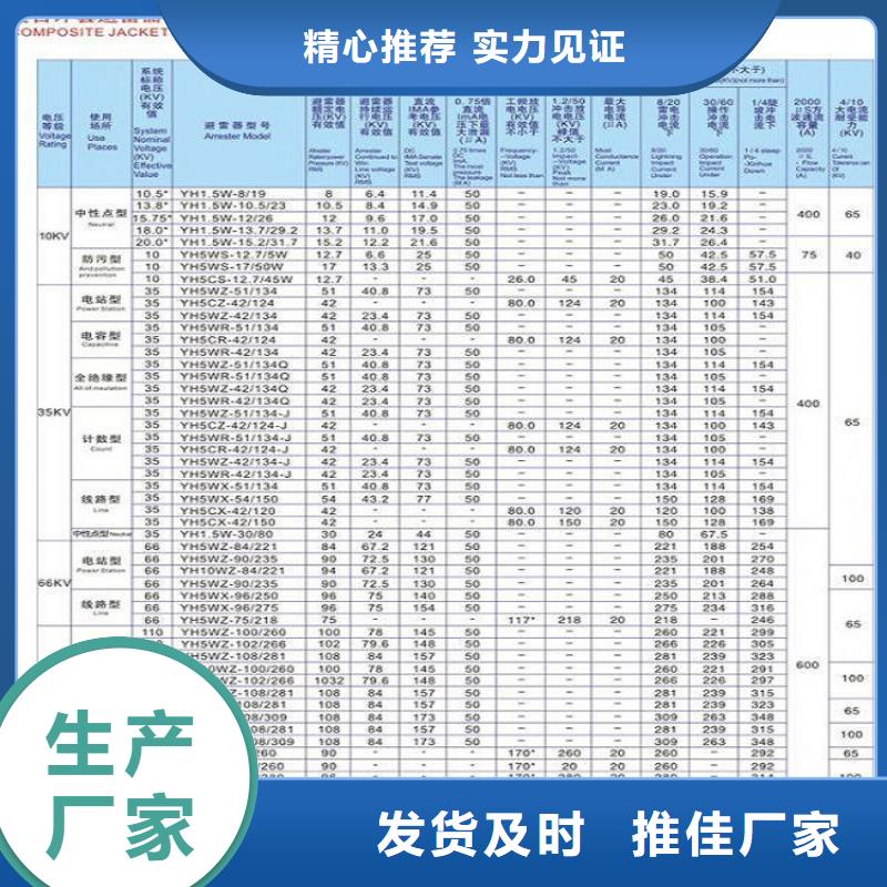 避雷器Y5W-90/235【浙江羿振电气有限公司】