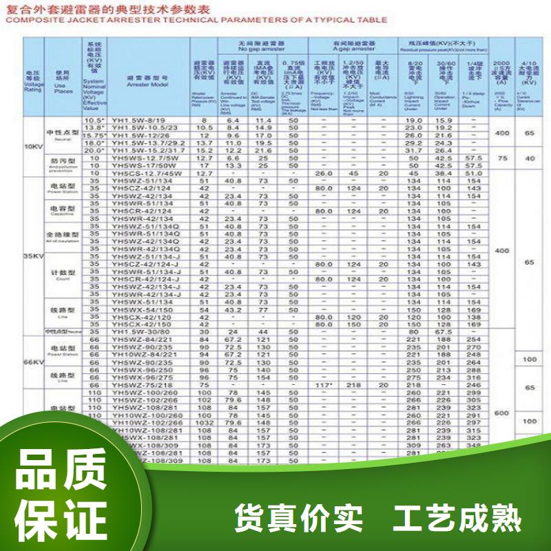 避雷器YH5WR5-17/46L浙江羿振电气有限公司