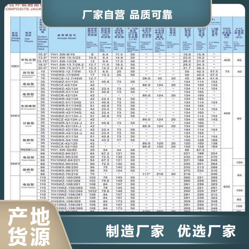 避雷器Y10W1-200/520.