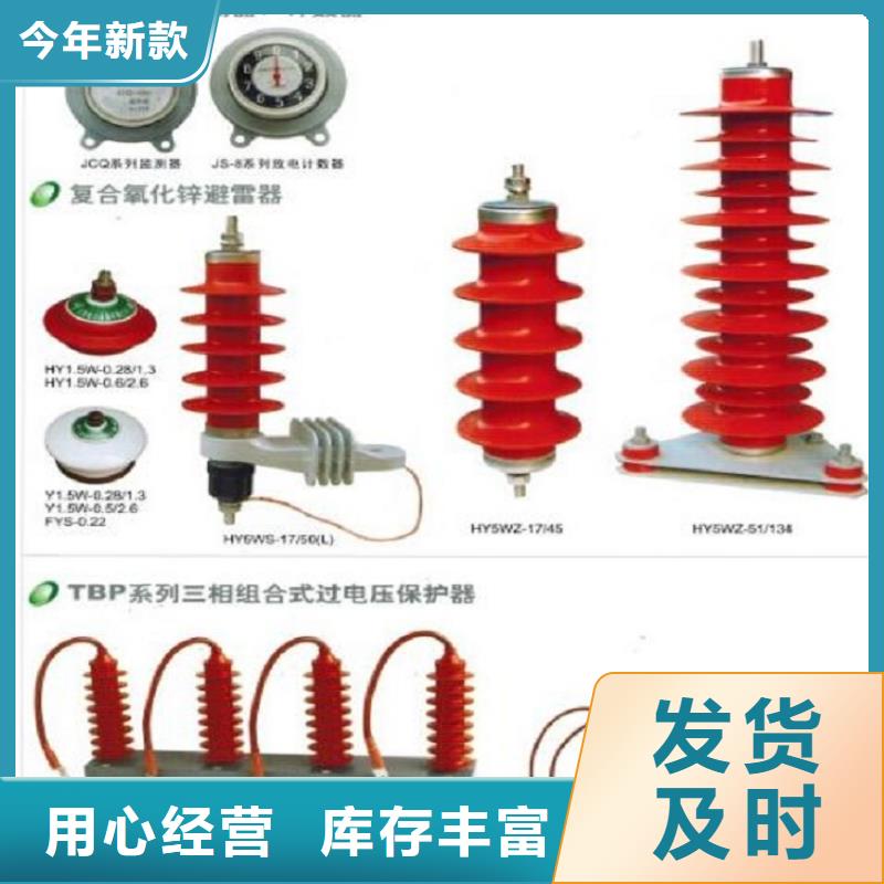 氧化锌避雷器Y10W1-100/248库存充足