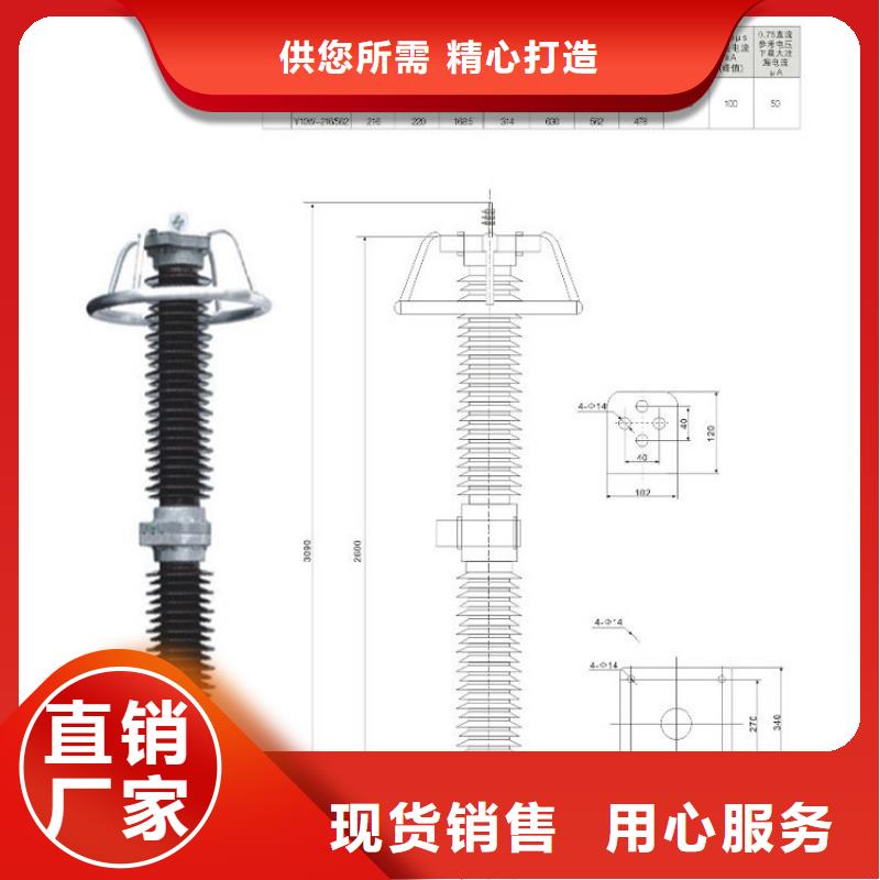 品牌：【羿振电力】氧化锌避雷器Y10W-216/562