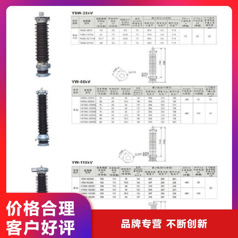 瓷外套金属氧化物避雷器Y10W-216/562