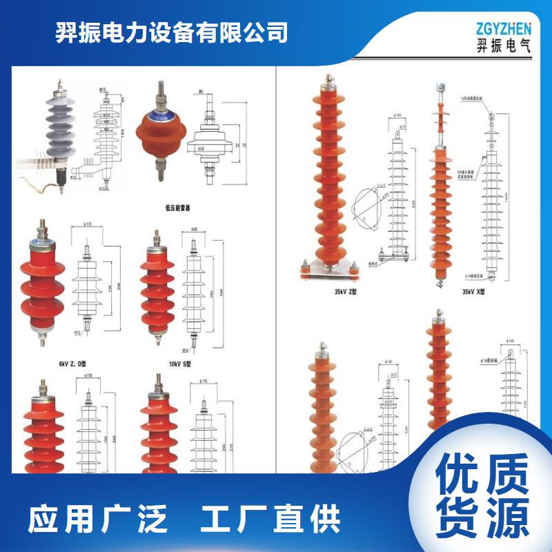 【避雷器】Y5W5-102/266S