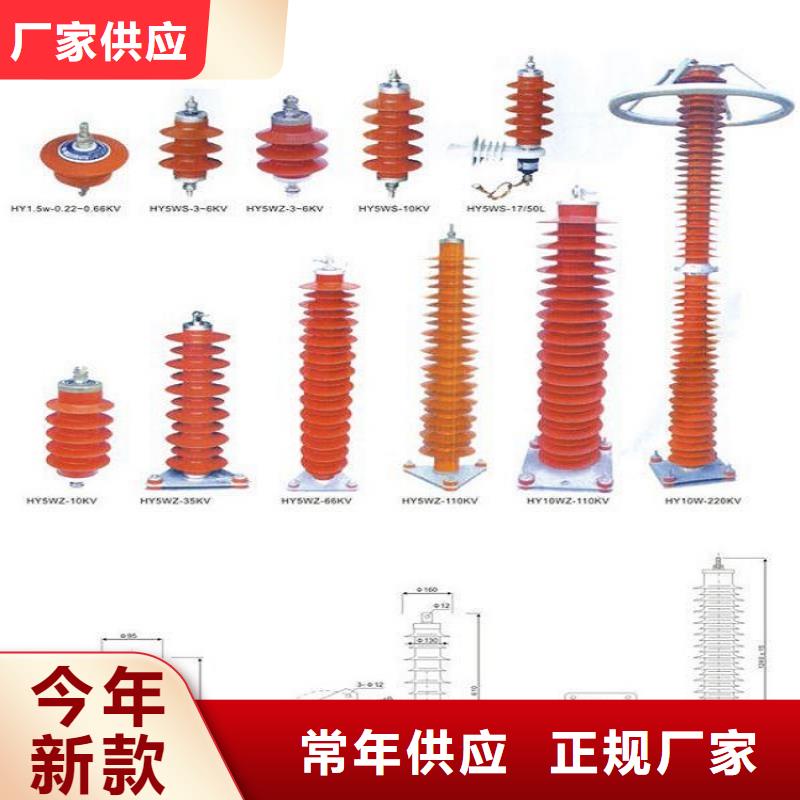 【羿振电力设备】【避雷器】YH5CX5-96/250