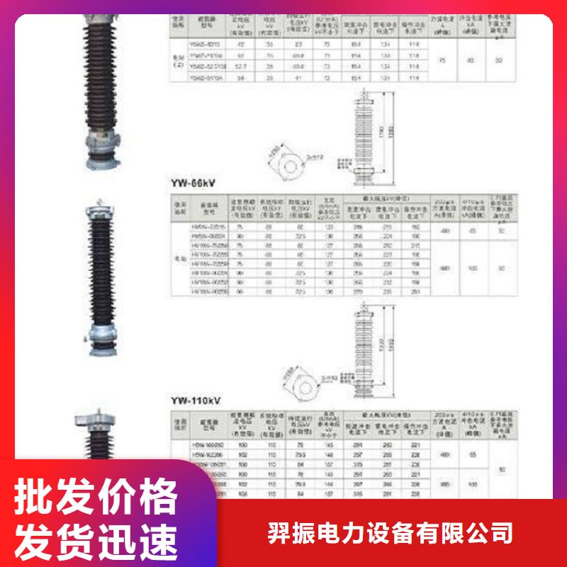 _避雷器YH10W5-94/228【羿振电力设备】