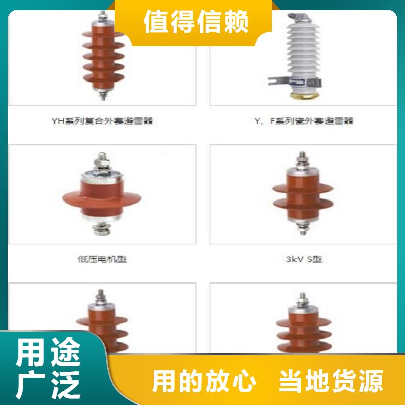 氧化锌避雷器Y2.5WZ-16.7/40实力厂家