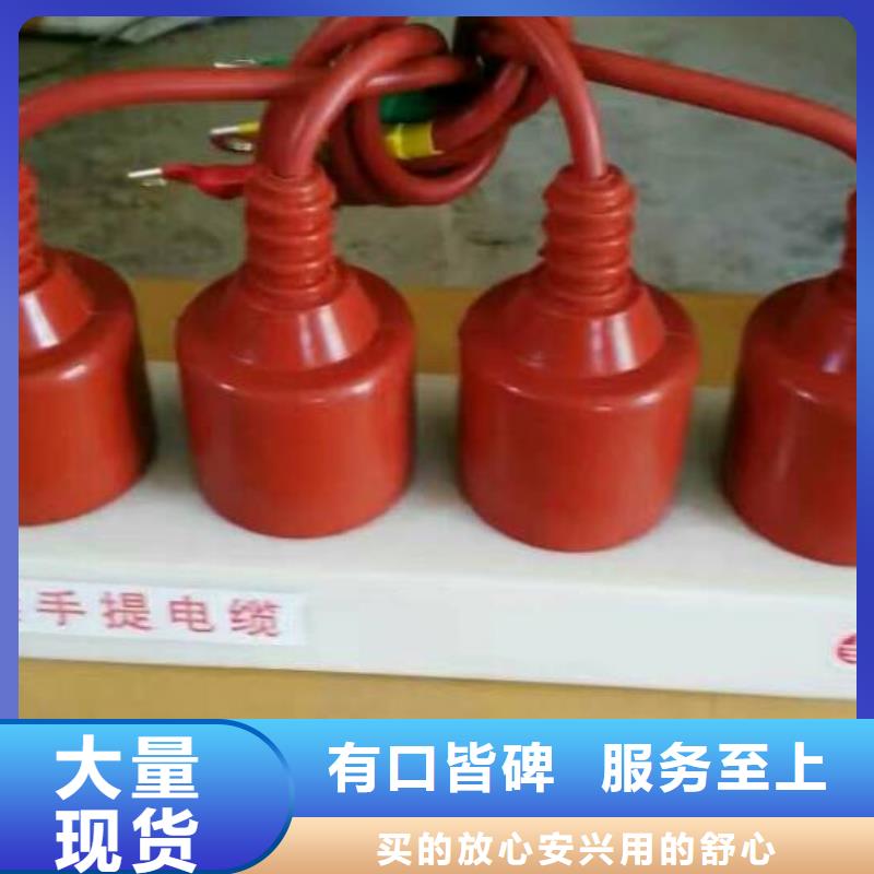 ＿保护器(组合式避雷器)TBP-W-A/6-T组合过电压保护器