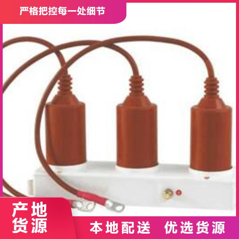 【羿振电力设备】过电压保护器(组合式避雷器)TBP-A-42F/310