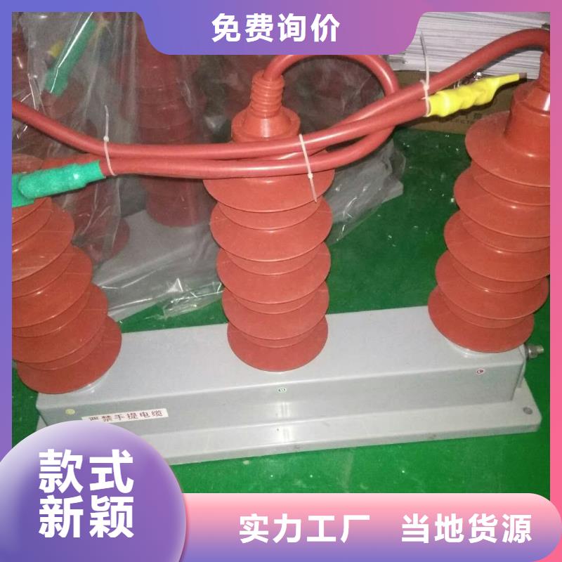 过电压保护器(组合式避雷器)TBP-A-6.3F/85