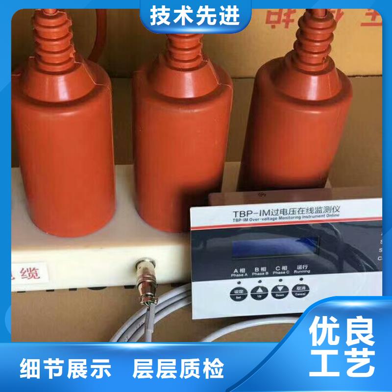 保护器(组合式避雷器)HRB-A-6.3-J