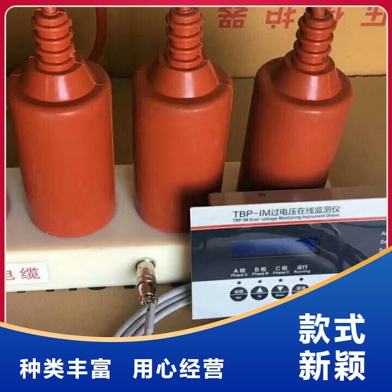 过电压保护器(组合式避雷器)YH5WZ-10/27*2