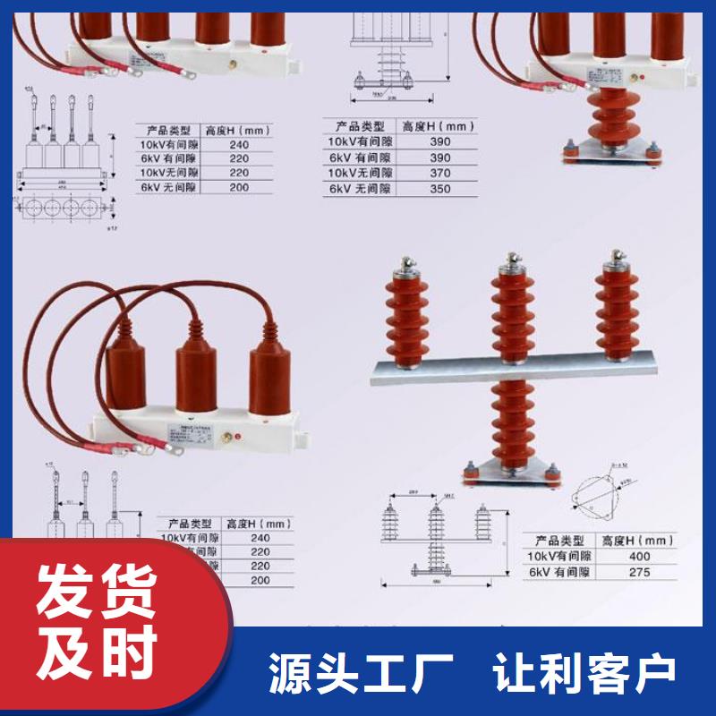 【羿振电力设备】过电压保护器(组合式避雷器)TBP-A-42F/310