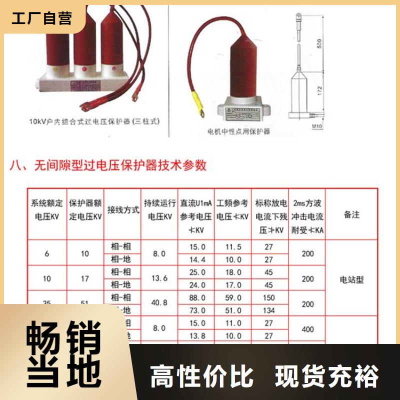 过电压保护器(组合式避雷器)TBP-B-12.7F/150