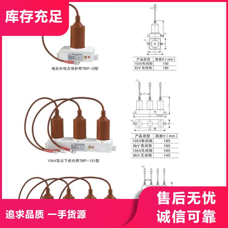 TBP-A-12.7/85-J过电压保护器生产厂家