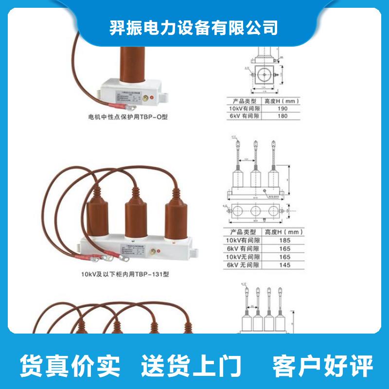 【羿振电力设备】过电压保护器(组合式避雷器)TBP-A-42F/310