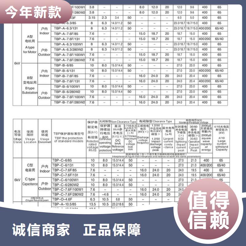 ＿保护器(组合式避雷器)TBP-W-A/6-T组合过电压保护器