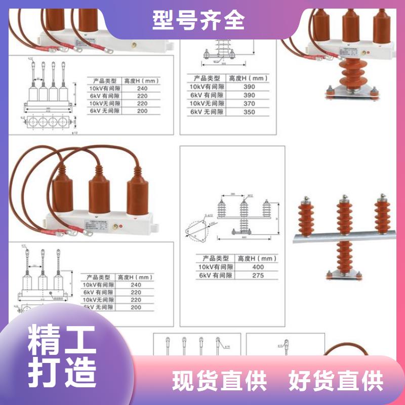 【羿振电气】保护器(组合式避雷器)TBP-C-42/280