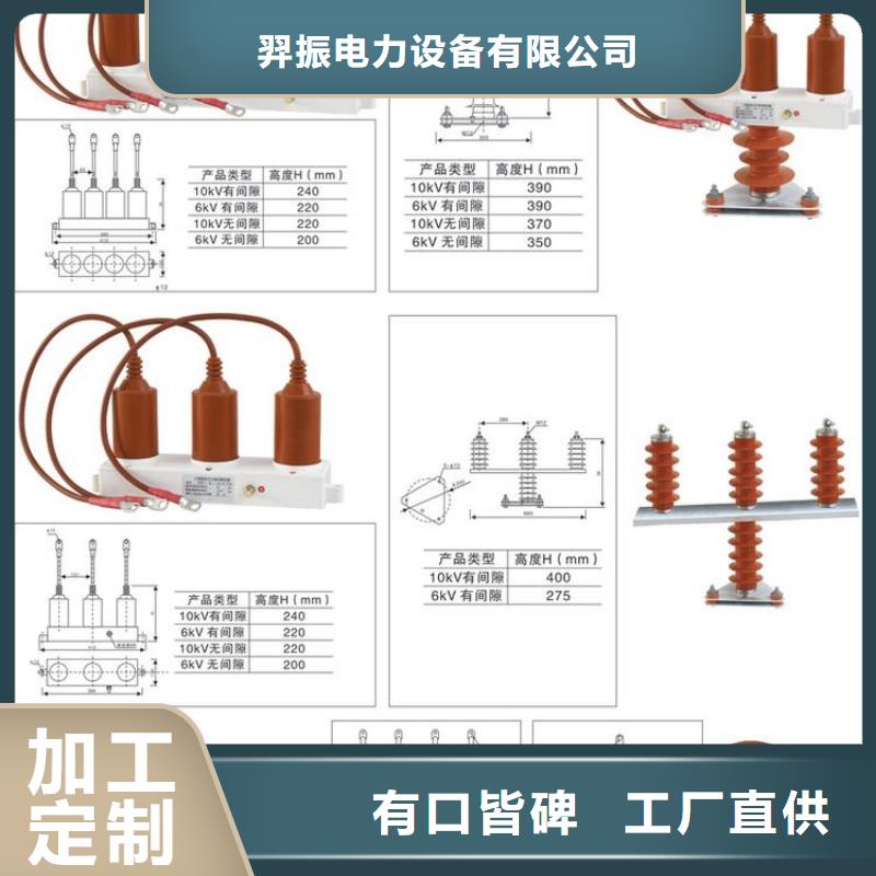 过电压保护器(组合式避雷器)SYB-B-42KV/400W1