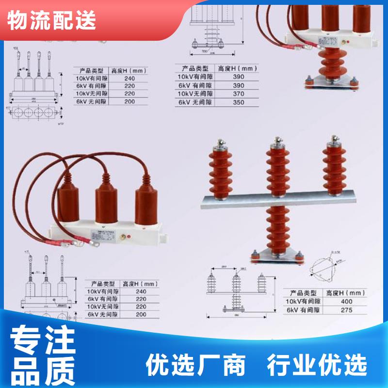 过电压保护器(组合式避雷器)TBP-A-42F/280-IM