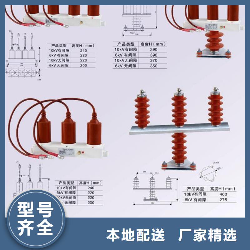 过电压保护器(组合式避雷器)TBP-C-12.7/85