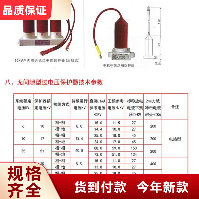 过电压保护器TBP-A-6.3F/85