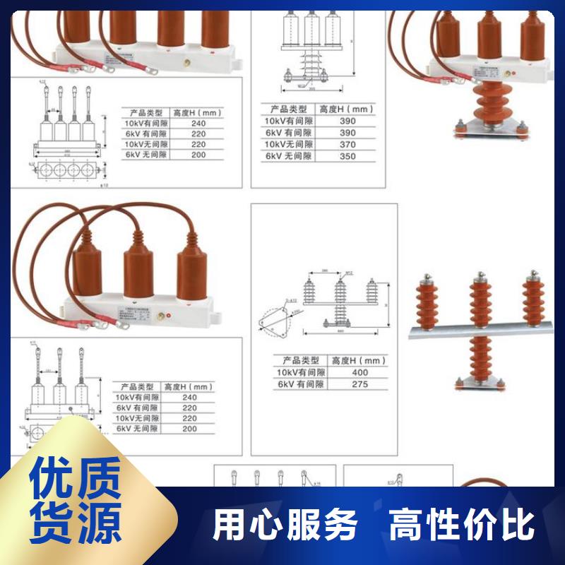 【组合式避雷器/过电压保护器】TBP-B-12.7/131N-J