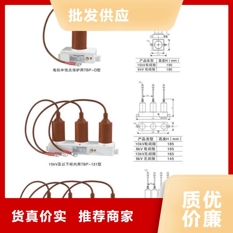 保护器(组合式避雷器)YHB5WD-13.5/38.7*13.5/31