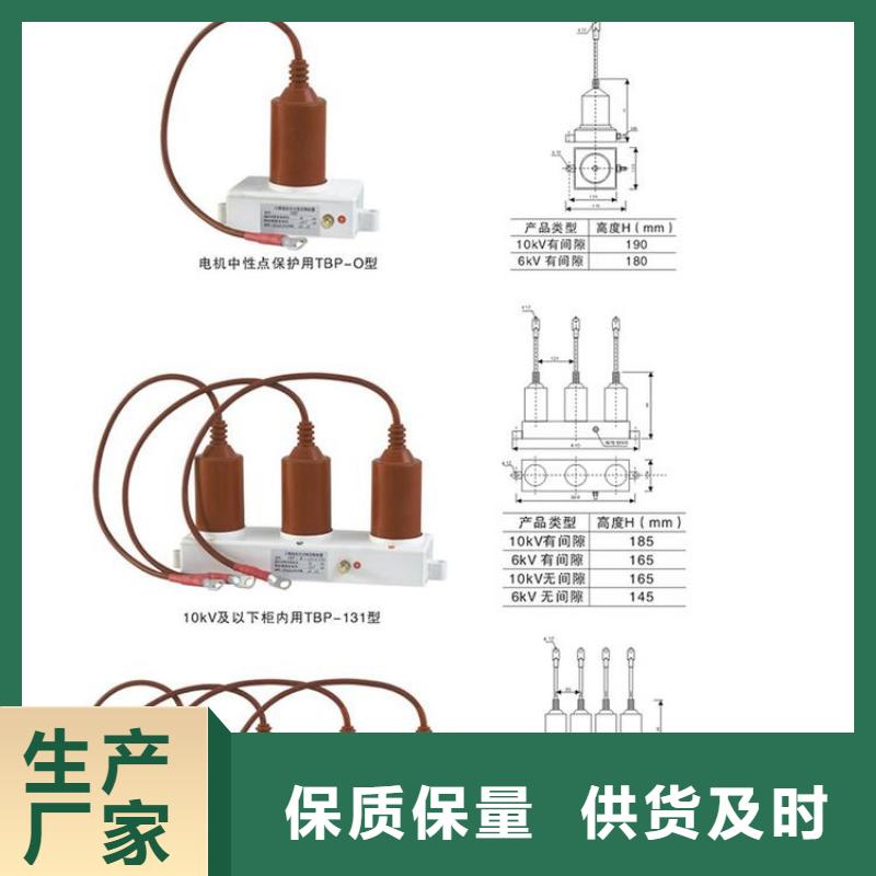 过电压保护器(组合式避雷器)TBP-C-42F/200