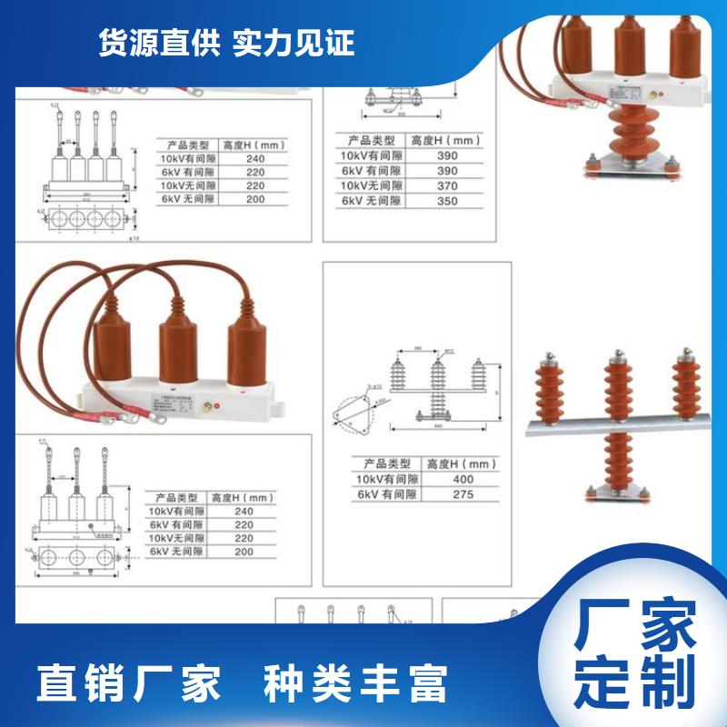 过电压保护器(组合式避雷器)TBP-B-35/200