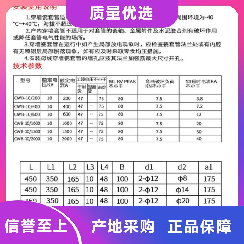 【穿墙套管】CWWL-10/1000-4