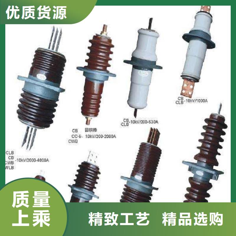 【穿墙套管】CWWL-40.5KV/1600A