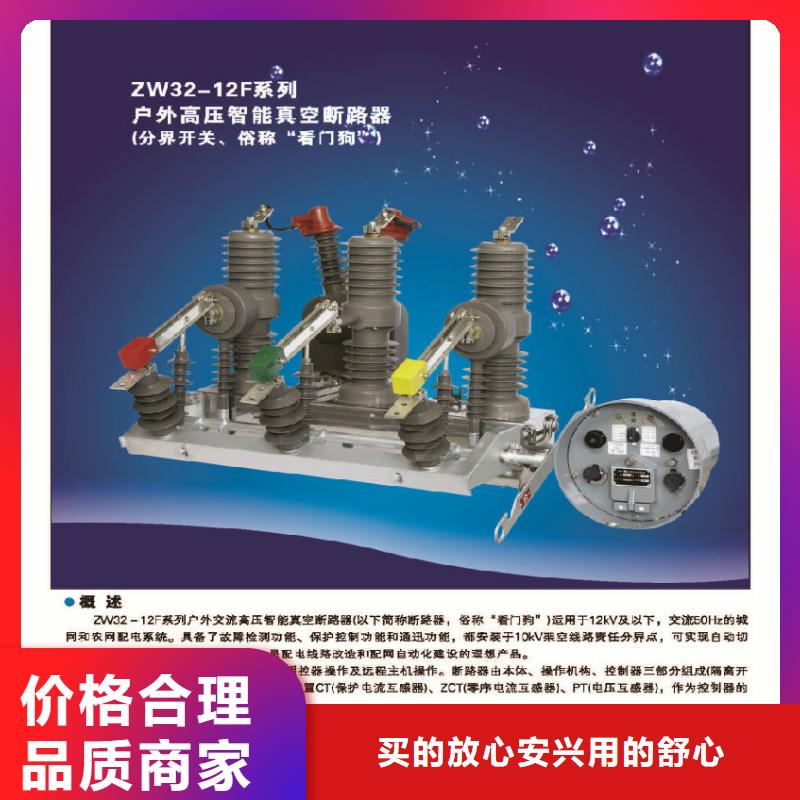 【羿振】ZW32-12/630-25电动＿弹簧操作机构
制造厂家
