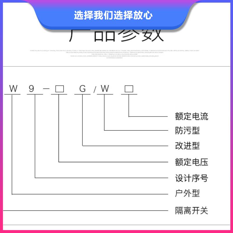 户外高压交流隔离开关HGW9-10G(W)/200A