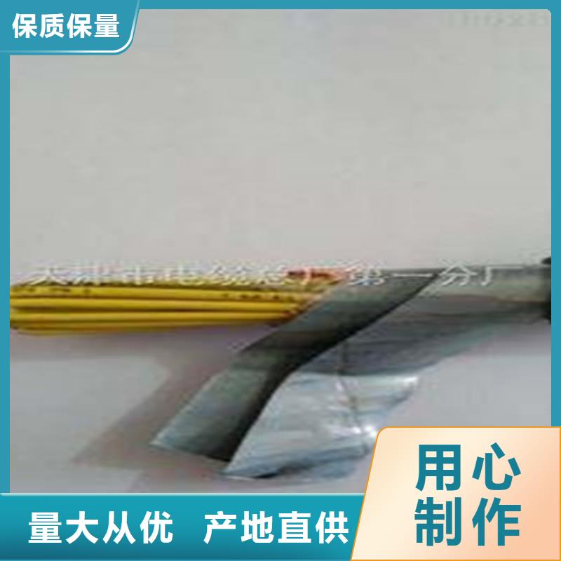 特种电缆屏蔽电缆专业信赖厂家
