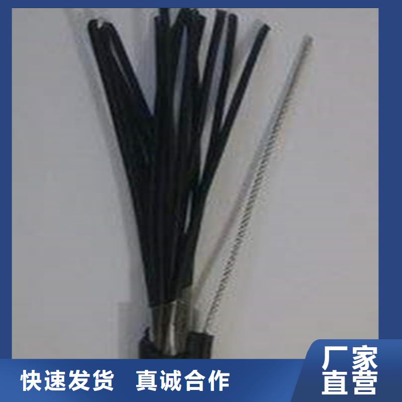 定做VVRTP1X95批发电缆的供货商