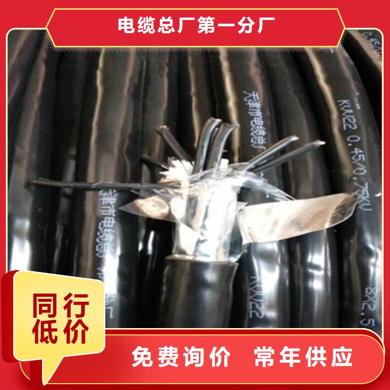 镀锡通讯电缆STP-110品质优