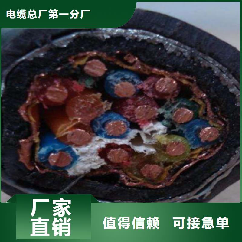 计算机电缆-屏蔽电缆精心