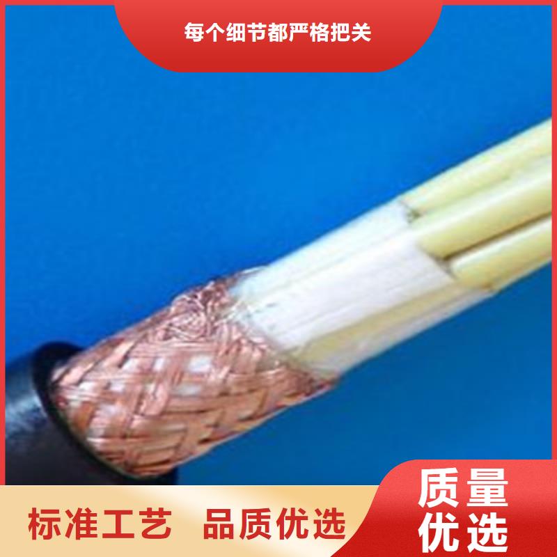 计算机电缆-屏蔽电缆精心