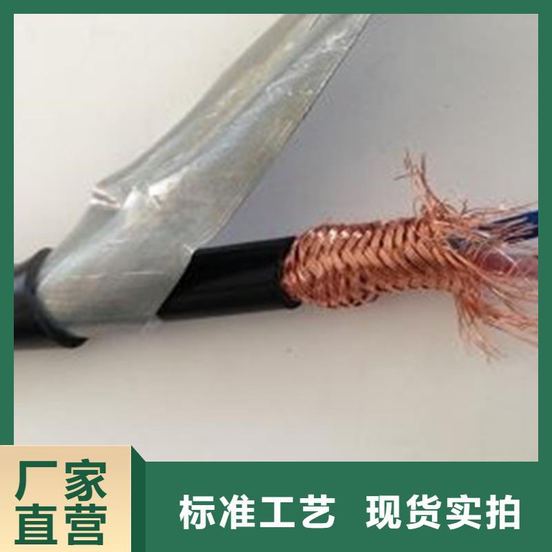 #阻燃计算机电缆ZR-ZA-105绵阳周边#-重信誉厂家