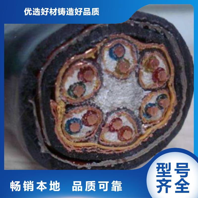 计算机电缆信号电缆交货准时