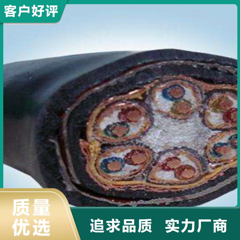 耐高温电缆_屏蔽电缆质量无忧