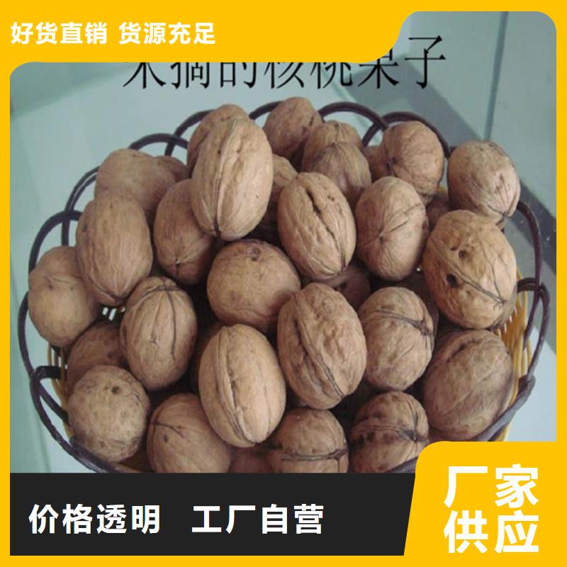 核桃苗_果树苗批发基地质量可靠